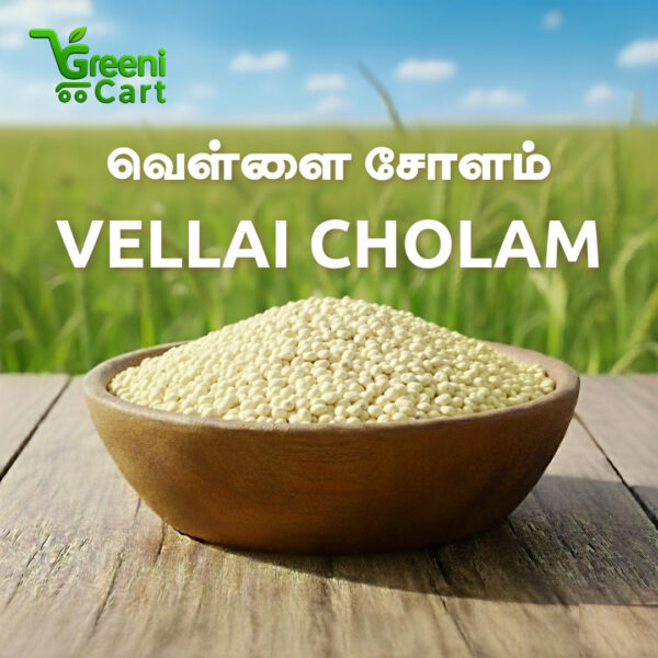 Vellai Cholam | White Sorghum
